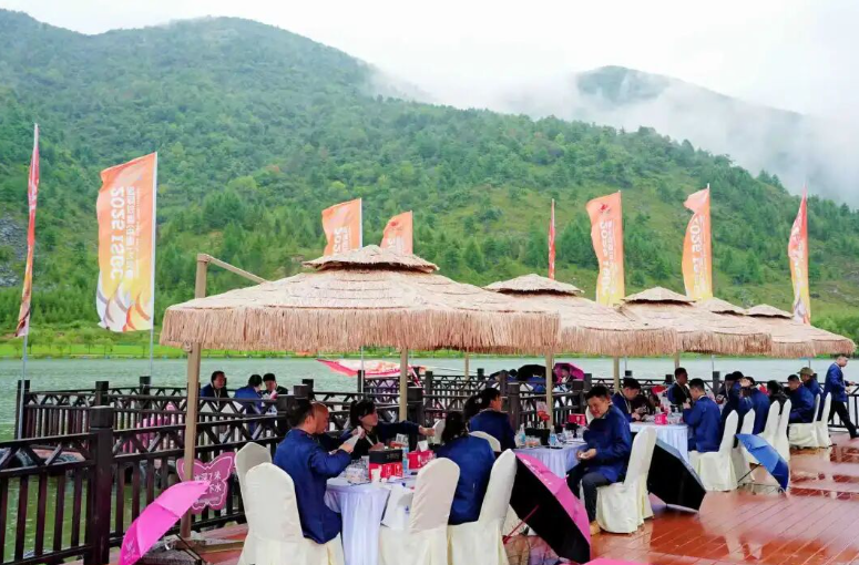 1766480867210227.png image.png